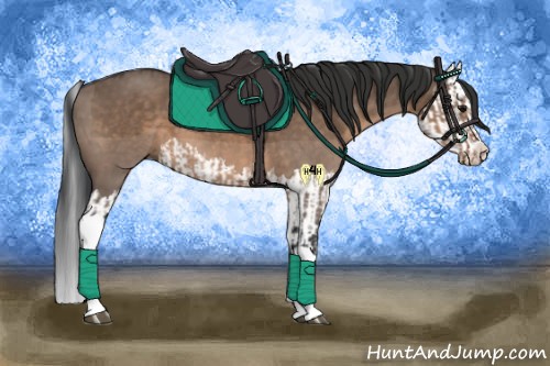 Horse Color:Brown Dun  and Brown Dun Splash 