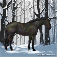Horse Color:Void Midnight Brown Roan Dun 