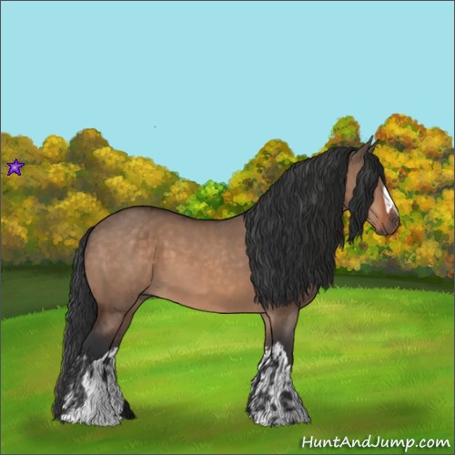 Horse Color:Brown Dun and Brown Dun