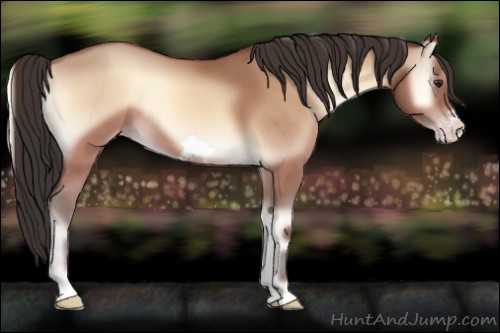 Horse Color:Sable Champagne Onyx Frame 