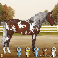 Horse Color:White Spotted Silver Bay 