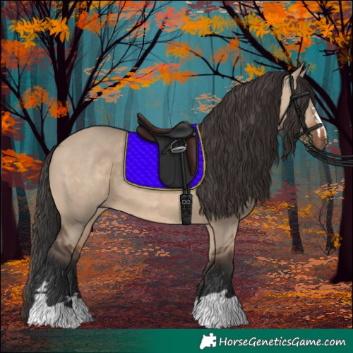 Horse Color:Brown Dun