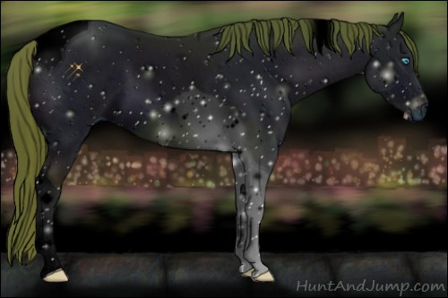 Horse Color:ERROR: UNKNOWN ANOMALY