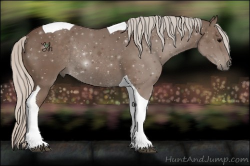 Horse Color:Silver Black Tobiano Rabicano 