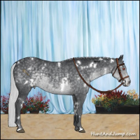 Horse Color:White Spotted Silver Black Chinchilla 