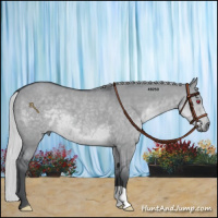 Horse Color:Silver Grullo Chinchilla 