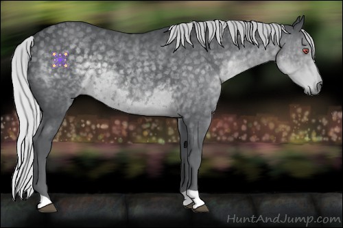 Horse Color:Silver Black Chinchilla