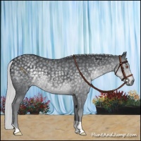 Horse Color:Silver Black Chinchilla 