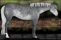 Horse Color:Silver Black Chinchilla