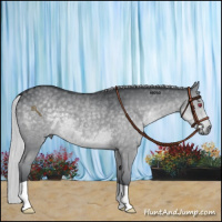 Horse Color:Silver Grullo Chinchilla 