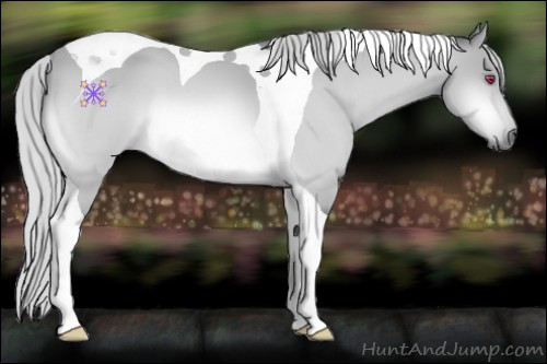 Horse Color:Silver Bay Chinchilla Tobiano 