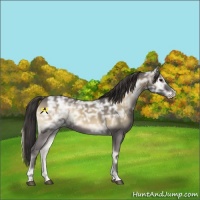 Horse Color:Smoky Blue Onyx Ice Mushroom 