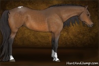 Horse Color:Buckskin Tobiano