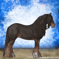 Horse Color:Liver Chestnut  and Liver Chestnut 