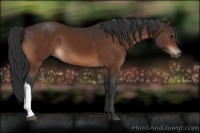 Horse Color:Brown 