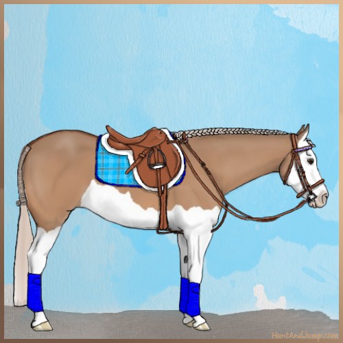 Horse Color:Silver Bay Dun Splash 