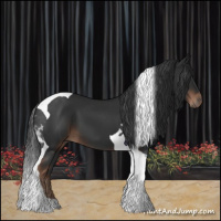 Horse Color:Liver Chestnut Tobiano 