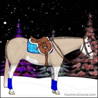 Horse Color:Red Dun Splash 