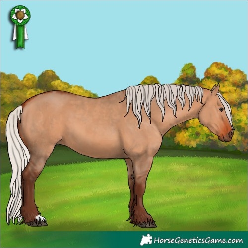 Horse Color:Silver Bay Dun  and Silver Bay Dun 