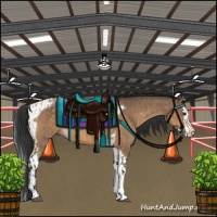 Horse Color:Buckskin Dun  and Bay Dun Splash Tobiano 