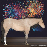 Horse Color:Amber Champagne 
