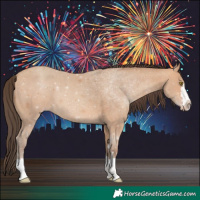 Horse Color:Amber Champagne 
