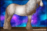 Horse Color:Gray Chestnut 