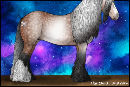 Horse Color:Gray Bay