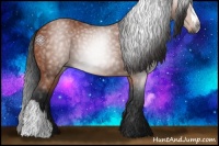 Horse Color:Gray Bay 