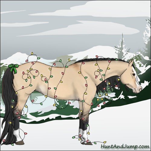 Horse Color:Bay Dun Splash 