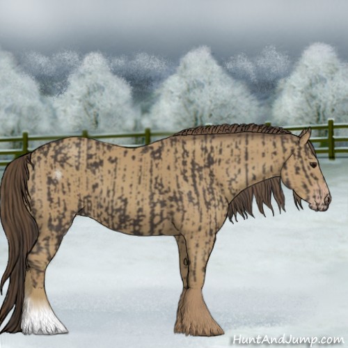 Horse Color:Smoky Black  and Classic Cream Champagne 