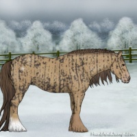 Horse Color:Smoky Black  and Classic Cream Champagne 