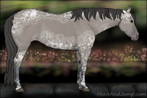 Horse Color:Grullo Ice Varnish