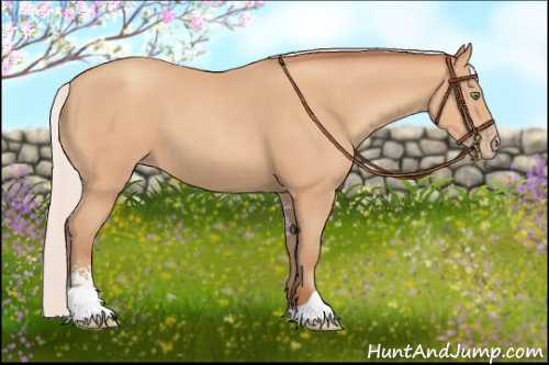 Horse Color:Silver Amber Champagne Sabino
