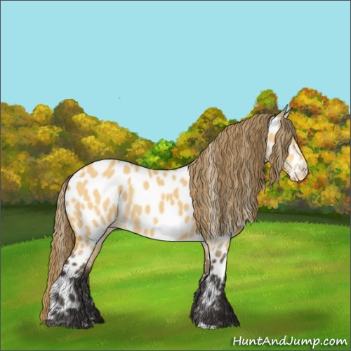 Horse Color:Buckskin Dun Near Leopard 