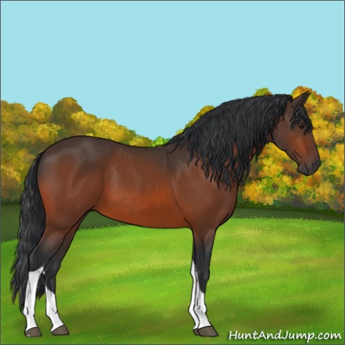 Horse Color:Brown Tobiano 