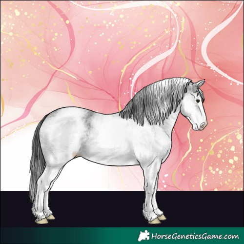 Horse Color:White Spotted Black and White Spotted Black Splash