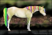 Horse Color:Painted Gold Cream Champagne Pearl Sabino 
