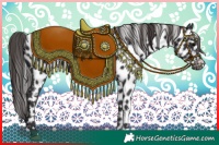 Horse Color:Smoky Black Appaloosa 