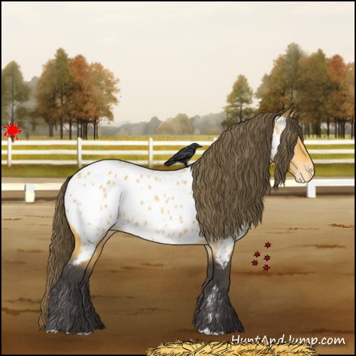 Horse Color:Buckskin Near Leopard 