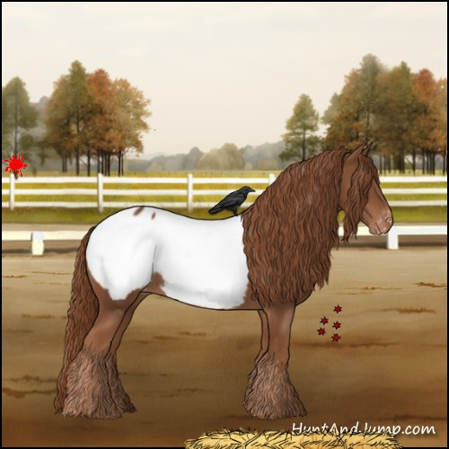 Horse Color:Chestnut Snowcap Rabicano 