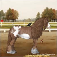 Horse Color:Chestnut Frame Varnish Rabicano 