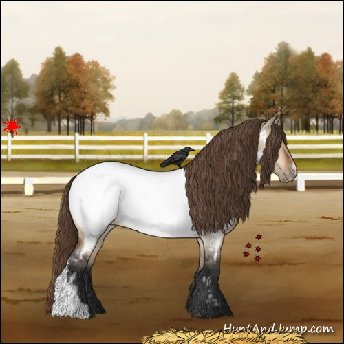 Horse Color:Bay Roan Dun Appaloosa 