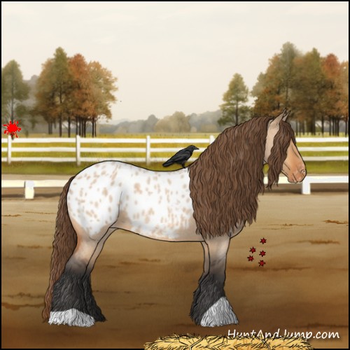 Horse Color:Bay Roan Dun Appaloosa 