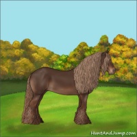 Horse Color:Liver Chestnut Sabino 