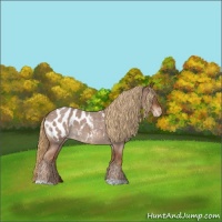Horse Color:Red Roan Near Leopard 