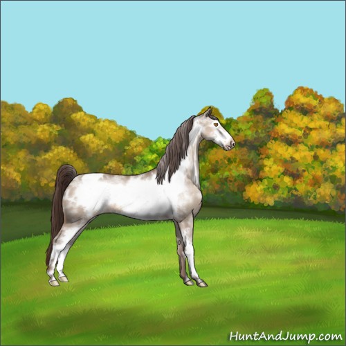 Horse Color:White Spotted Sable Champagne Dun Frame Appaloosa