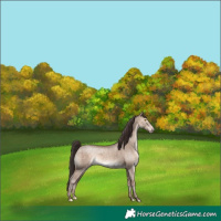Horse Color:Sable Champagne Dun 