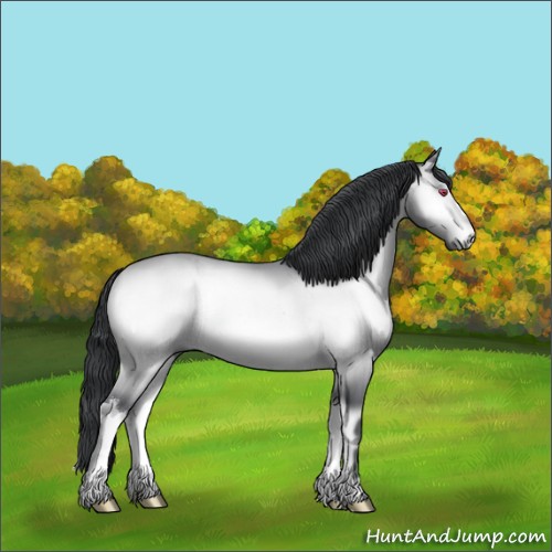 Horse Color:Brown Chinchilla Onyx 