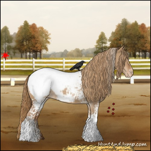 Horse Color:White Spotted Red Dun Snowcap 
